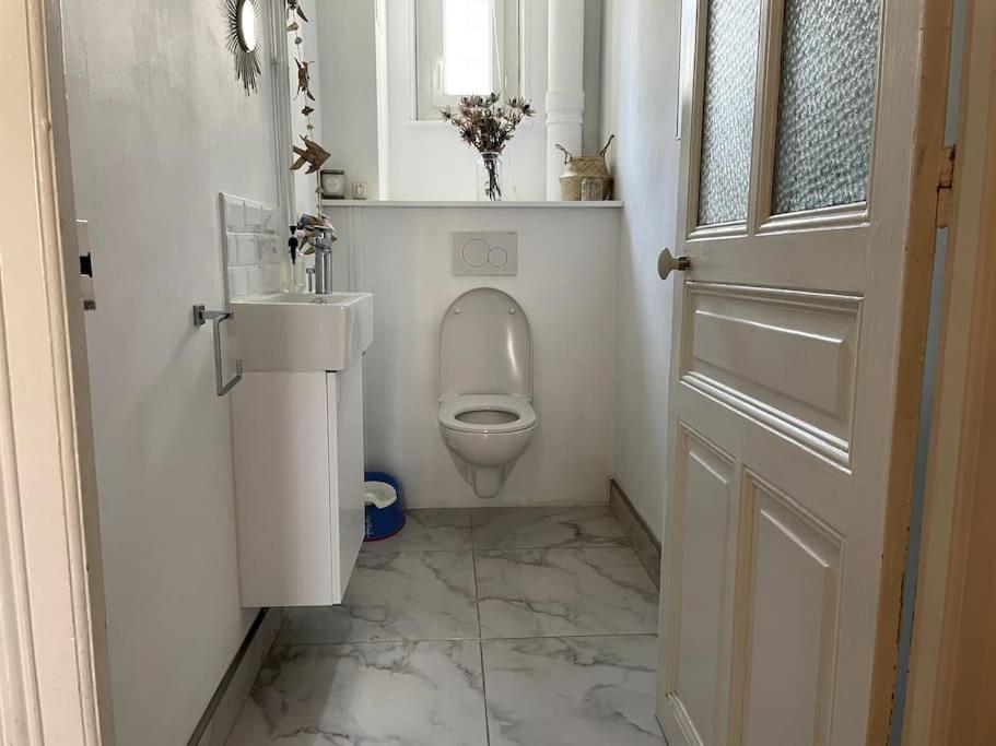 Clou Dans Le Fer Hyper Centre Immeuble Luxueux Reims